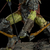 Статуэтка Lord of the Rings - Iron Studios - Archer Orc