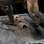 Статуэтка Lord of the Rings - Iron Studios - Armored Orc