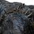 Статуэтка Weta Workshop The Lord of the Rings Cave Troll Miniature